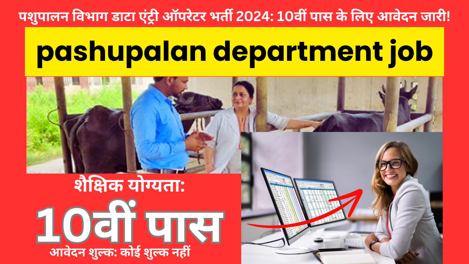 pashupalan department job: पशुपालन विभाग डाटा एंट्री ऑपरेटर भर्ती 10वीं पास आवेदन करे
